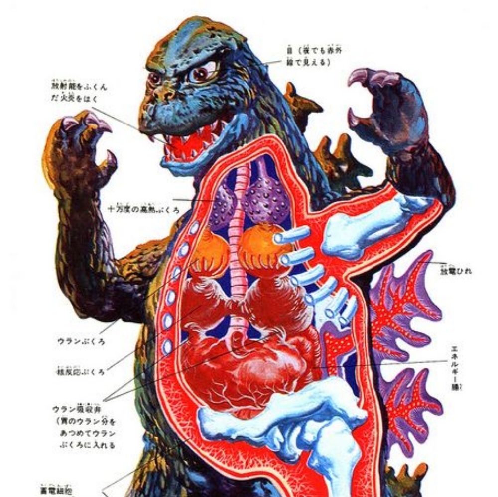Meet your Posher, Frank